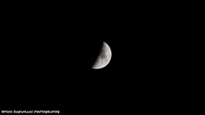 DSC_8132.jpg