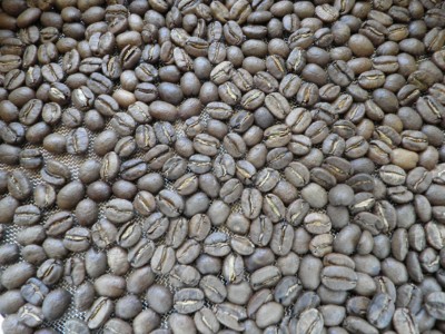 colombia xoris flash.jpg