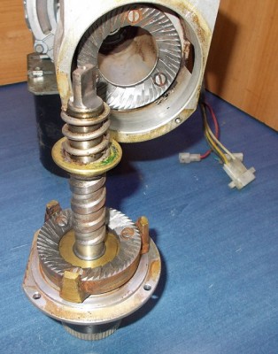 rhea06.jpg