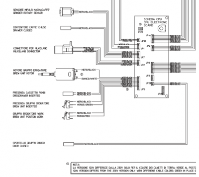 talea25.png