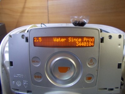 talea010.jpg