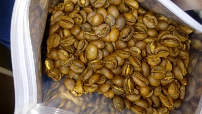 IMG_20161229_175447.jpg